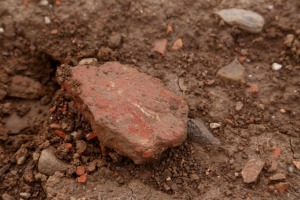 IMG_6112_w