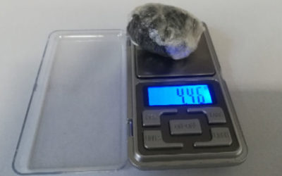 Sequestro di “Maria” a Vicenza grazie al Grande Fratello
