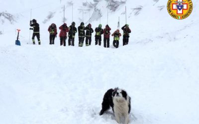 Valanga sulla strada di Passo Fedaia: nessun veicolo coinvolto