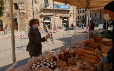 Oggi al mercato Coldiretti rametti di Ulivo per le Palme