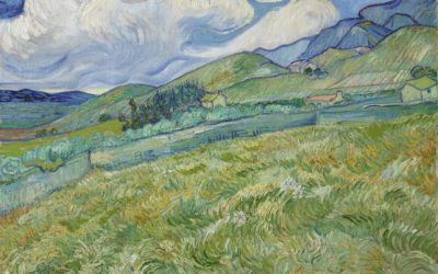Van Gogh a Padova: bruciati i primi biglietti per le visite in esclusiva e domani altra finestra