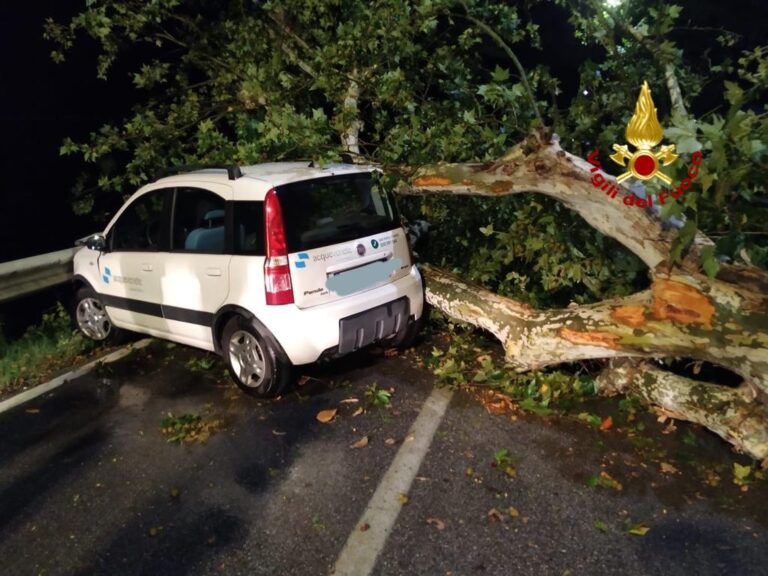 Ad Anguillara auto contro albero caduto in strada: automobilista salvo