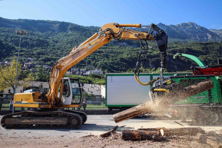 Dal 11 al 13 settembre “Fiera & festival delle foreste” a Longarone