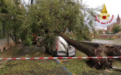 Tifone mediterraneo sul Veneto: the day after [VIDEO]