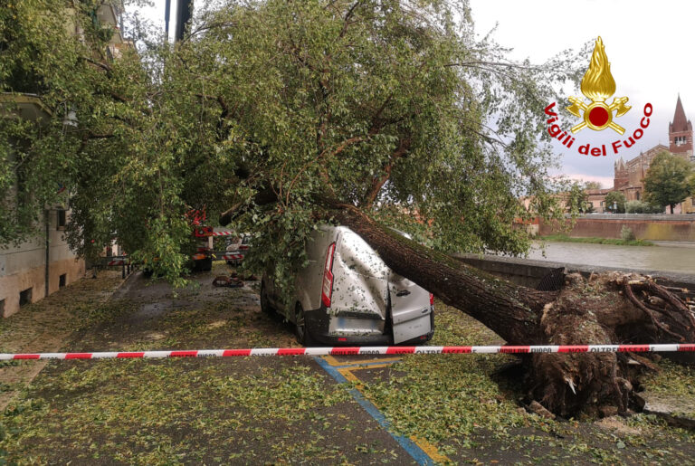 Tifone mediterraneo sul Veneto: the day after [VIDEO]