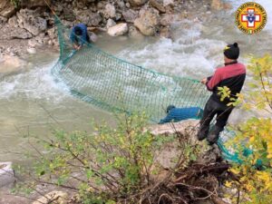 reti sul torrente Costeana