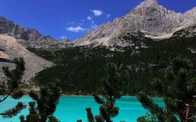 Precipita durante la scalata della Ra Zesta: è grave!