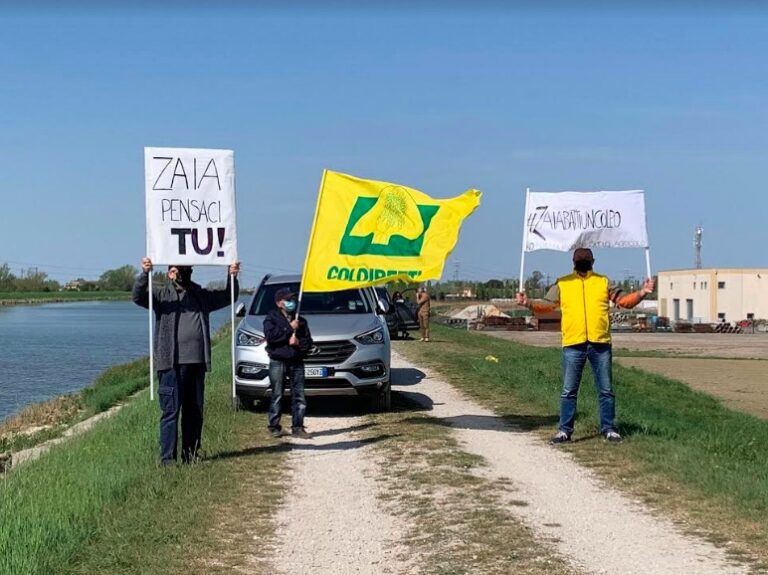 Pic Nic contro mega impianto fotovoltaico “mangia campi” a Loreo: “Zaia batti un colpo!”