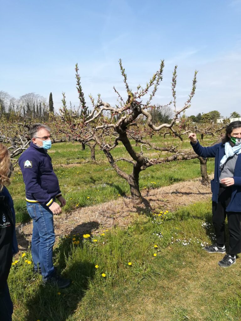 Maltempo – Moltiplicati per 4 gli eventi estremi: in Veneto gelo e bombe d’acqua in primavera