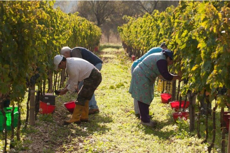 Venerdì 30 aprile sciopero dei lavoratori dell’agricoltura: presidio a Padova